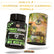 STOMACH CLEANSER- Intestine Detox Ayurvedic Supplement | 14 Days Program To Remove Toxins & Constipation | 100% Natural Health Care > Gut Health > Colon Detox > Supplement > Ayurvedic Constipation, IBS & Bowel Treatment The Yoga Man Lab Pack of 1: ₹999/- (50% Off)
