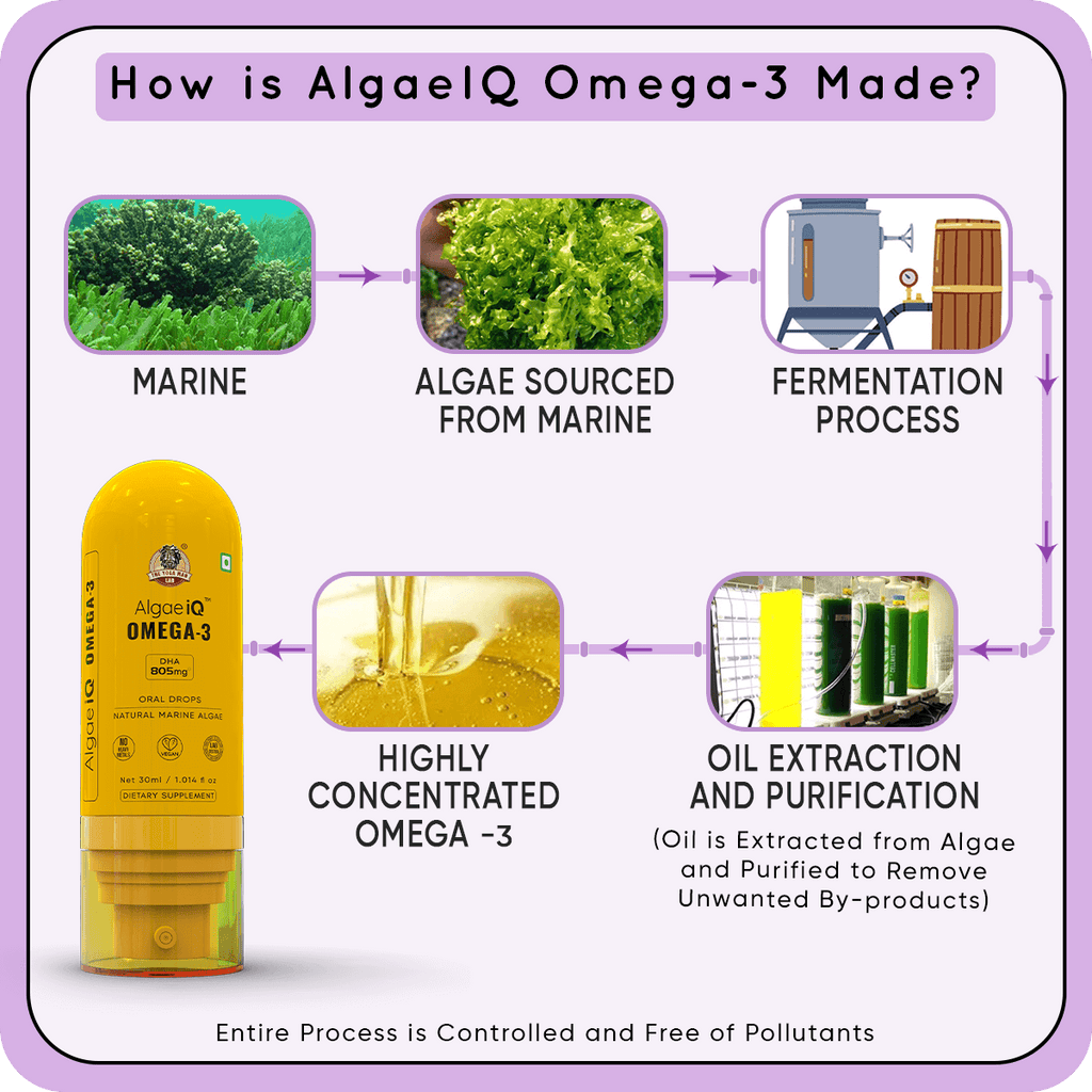 YogaManLab® AlgaeIQ Omega-3 with 800mg DHA | TEST