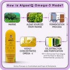YogaManLab® AlgaeIQ Omega-3 with 800mg DHA | TEST