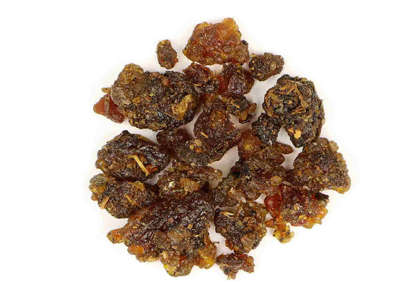 Commiphora wightii