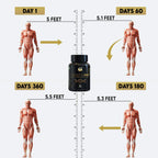 YogaManLab® Growth DNA - Ayurvedic Height Increaser Program | Growth Plate Activator | Guaranteed Results Formula | 100% Natural