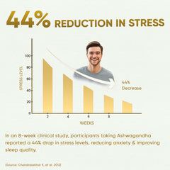 YogaManLab® Ashwagandha Tablets - 100% Lab Certified | Xtra Energy Booster & Stress Reliever - 30 Tablets