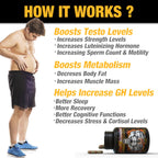 YogaManLab® PLANTOSTERONE - Ayurvedic Muscle Builder & Testosterone Booster | Helps Increase Muscle Size & Body Weight| 100% Natural