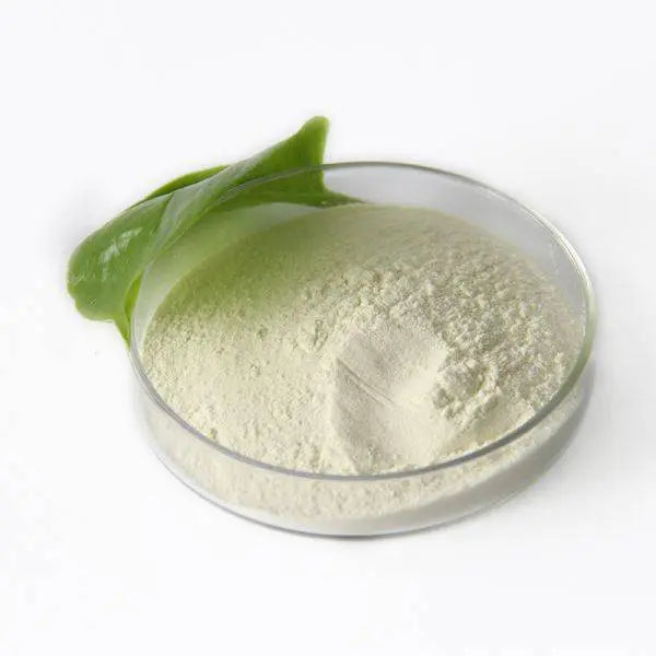 LACTOBACILLUS ACIDOPHILUS