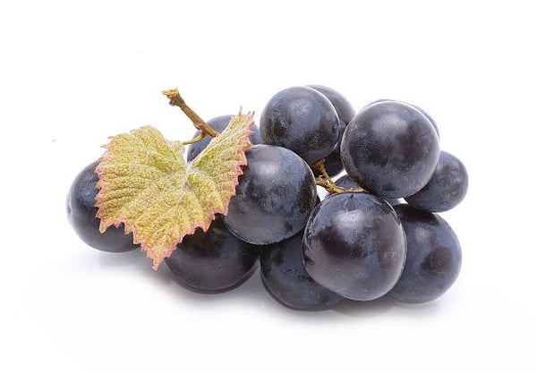 Resveratrol