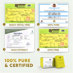 YogaManLab® Turmeric Kojic Herbal Soap – Gentle Skin Cleanser With Ayurvedic Ingredients – Pack of 3 Bars