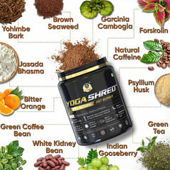 योगा श्रेड - फैट एट-होम आयुर्वेदिक सप्लीमेंट (पुरुष) बर्न करें | वजन घटाने और ऊर्जा बढ़ाने में मदद करता है | आयुर्वेदिक और 100% प्राकृतिक