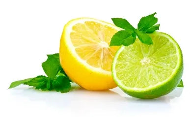 Citrus Aurantifolia Swingle