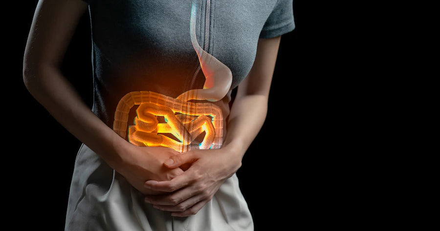 Gut Health