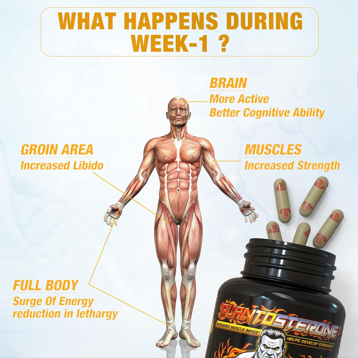 YogaManLab® PLANTOSTERONE - Ayurvedic Muscle Builder & Testosterone Booster | Helps Increase Muscle Size & Body Weight| 100% Natural