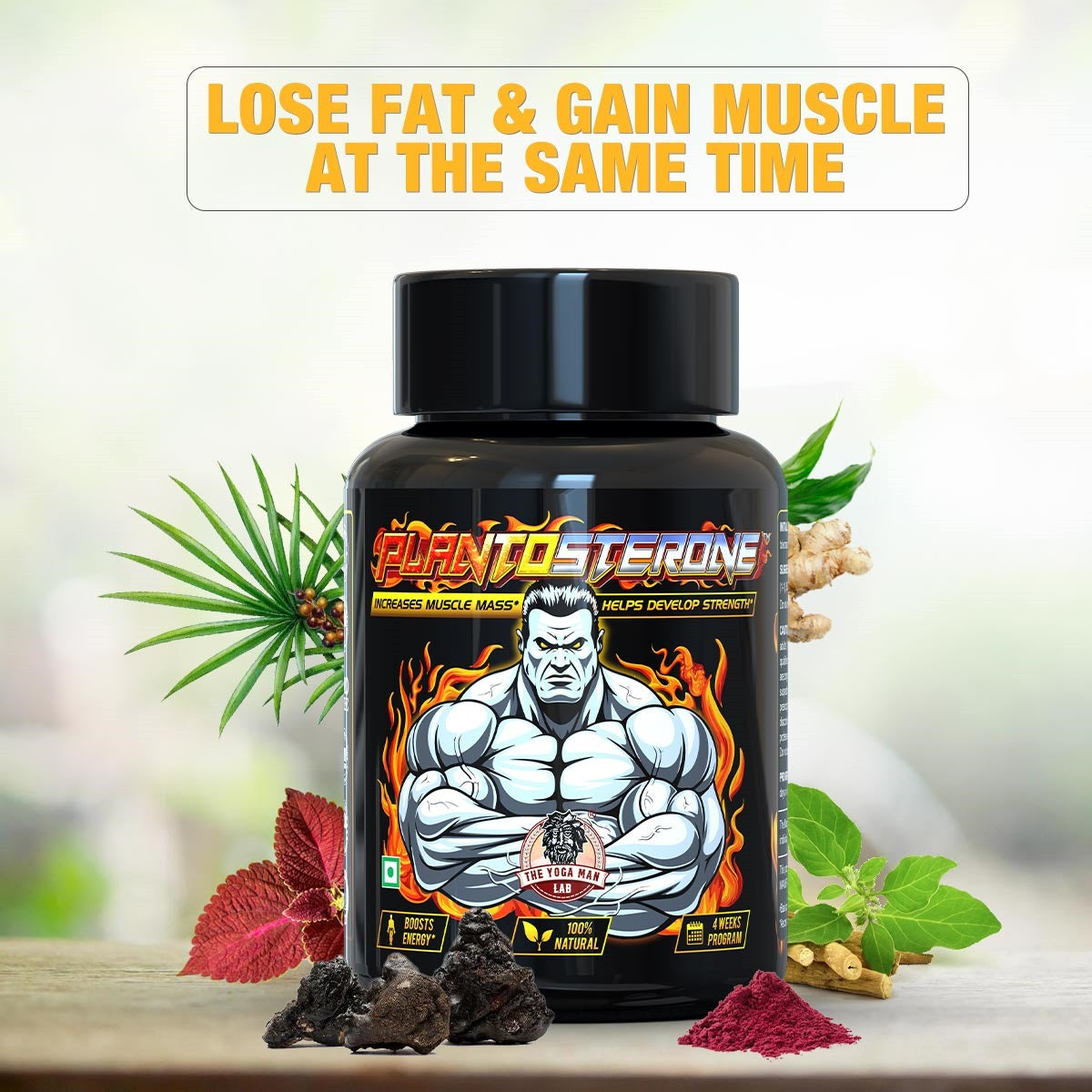 YogaManLab® PLANTOSTERONE - Ayurvedic Muscle Builder & Testosterone Booster | Helps Increase Muscle Size & Body Weight| 100% Natural