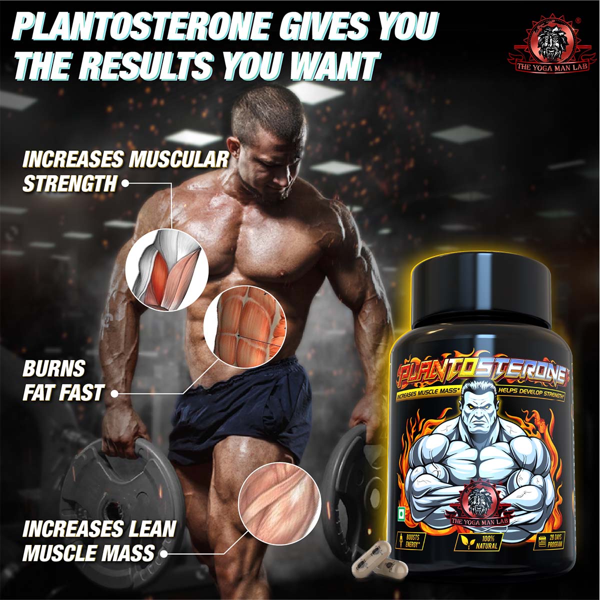PLANTOSTERONE - Muscle Building & Testo-Boosting Ayurvedic Supplement | Helps Gain Muscle Size & Weight, with Increase in Sexual Drive | 100% Natural Health Care > Muscle Building > Muscle Growth > Supplement > Ayurvedic Weight Gain The Yoga Man Lab   