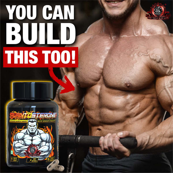 YogaManLab® PLANTOSTERONE - Ayurvedic Muscle Builder & Testosterone Booster | Helps Increase Muscle Size & Body Weight| 100% Natural