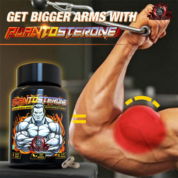 YogaManLab® PLANTOSTERONE - Ayurvedic Muscle Builder & Testosterone Booster | Helps Increase Muscle Size & Body Weight| 100% Natural
