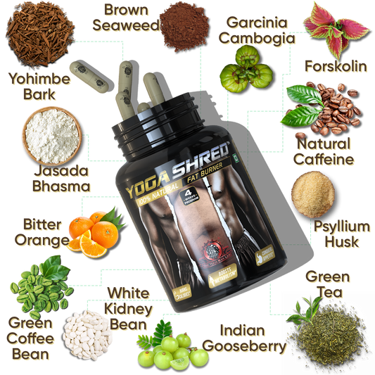 YOGA SHRED - Burn Fat At-Home Ayurvedic Supplement (Men) | Helps in Weight Loss & Boosting Energy | Ayurvedic & 100% Natural Health Care > Weight Loss > Fat Burner > Men > Supplement > Ayurvedic Fat Loss The Yoga Man Lab   